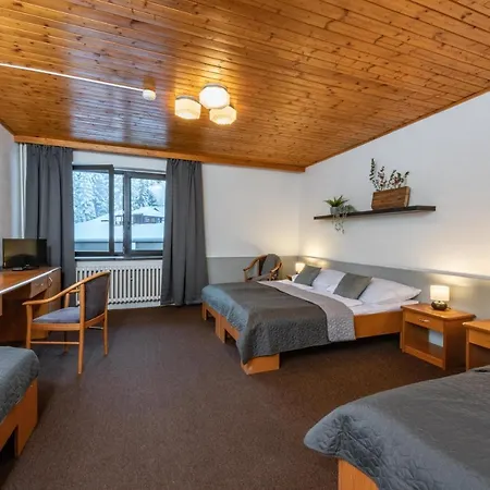 Wellness Sedy Vlk Hotel Harrachov