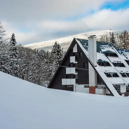 Wellness Sedy Vlk Harrachov