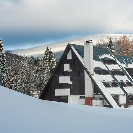 Wellness Sedy Vlk 3* Harrachov