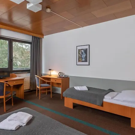 Wellness Sedy Vlk Harrachov