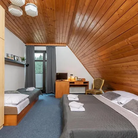 Hotel Wellness Sedy Vlk 3*