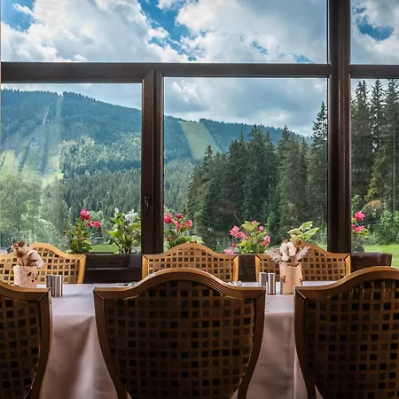 Hotel Wellness Sedy Vlk