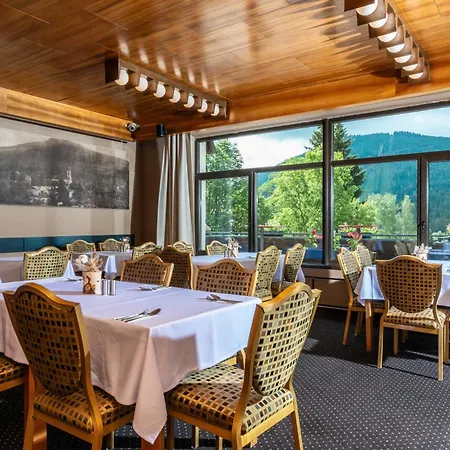 Wellness Sedy Vlk 3* Harrachov