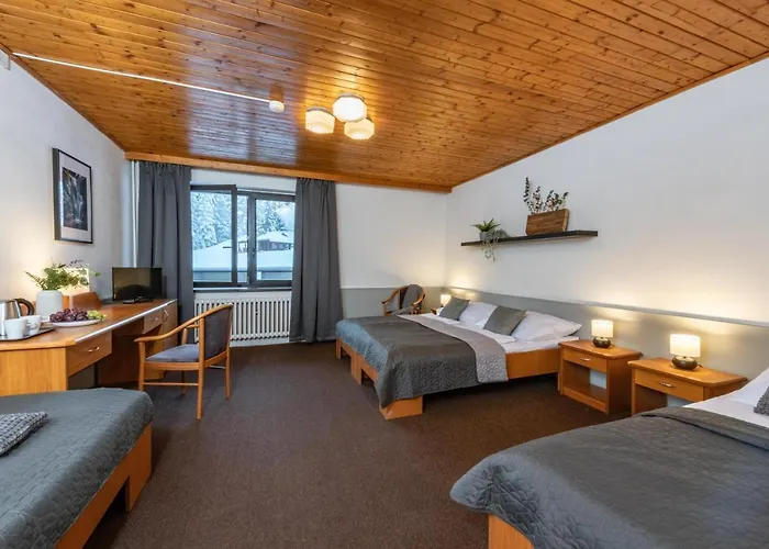 Wellness Sedy Vlk Szálloda Harrachov