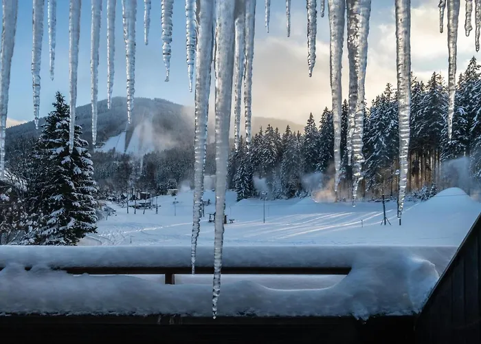 Wellness Sedy Vlk Szálloda Harrachov