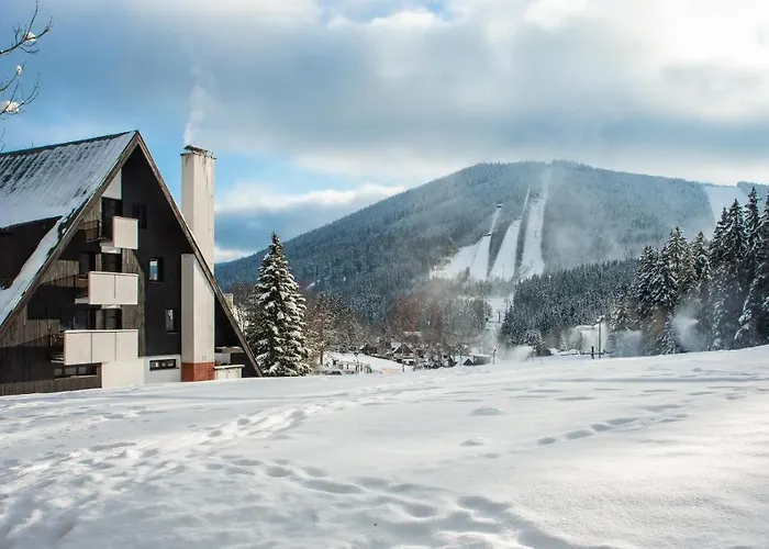 Wellness Sedy Vlk 3* Harrachov