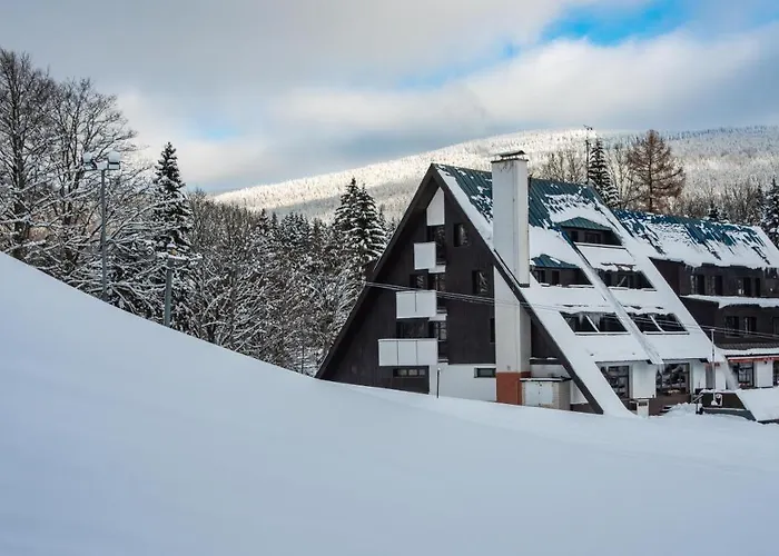 Wellness Sedy Vlk Harrachov