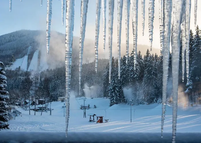 Wellness Sedy Vlk Harrachov