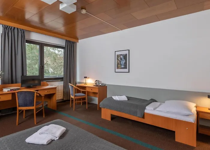 Wellness Sedy Vlk Harrachov