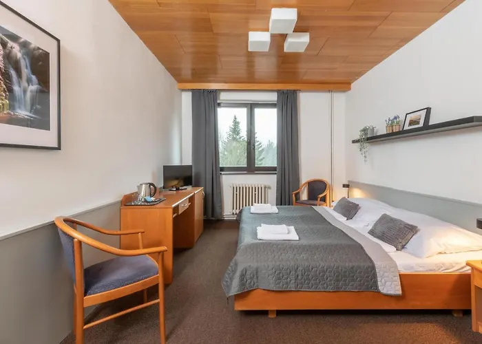 Szálloda Wellness Sedy Vlk