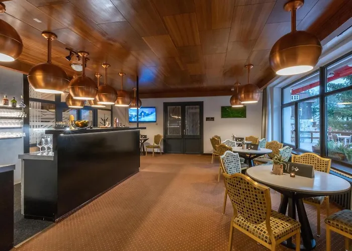 Wellness Sedy Vlk Harrachov