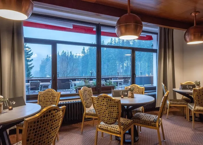 Wellness Sedy Vlk Szálloda 3*