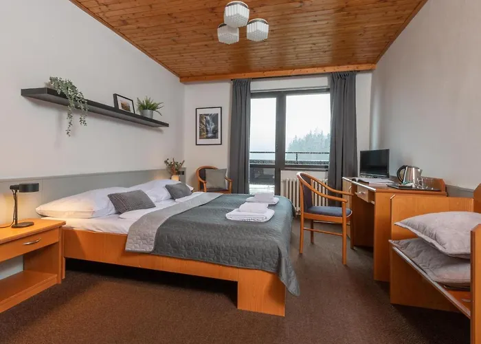 Szálloda Wellness Sedy Vlk