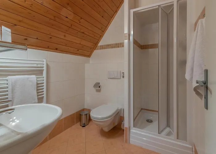 Wellness Sedy Vlk Szálloda Harrachov