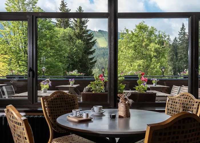 Wellness Sedy Vlk Szálloda Harrachov