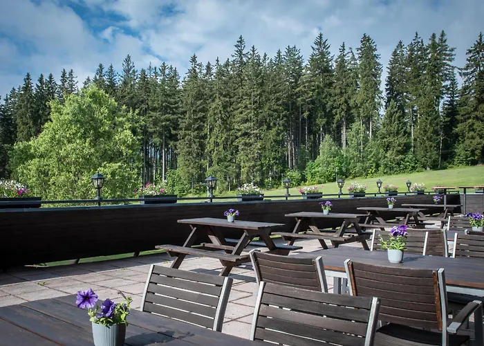 Wellness Sedy Vlk Harrachov