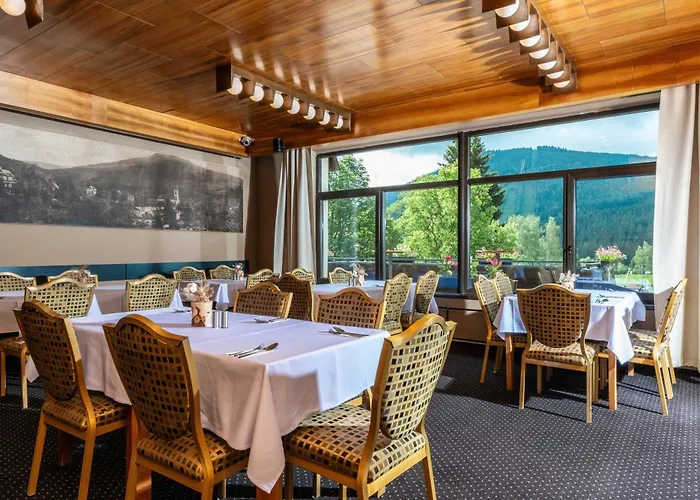 Wellness Sedy Vlk 3* Harrachov